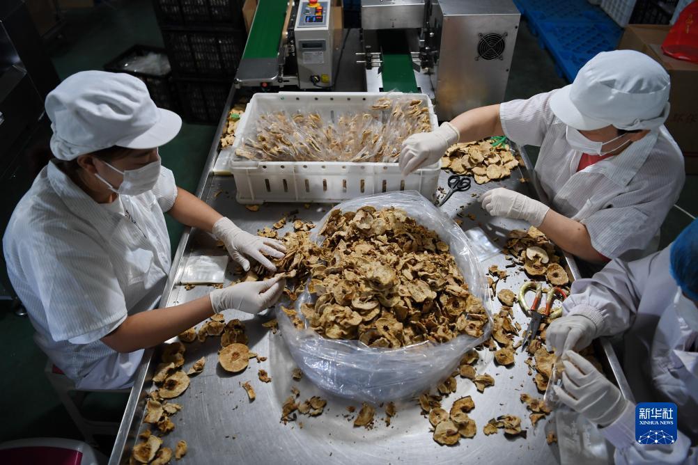 银河期货官方网站